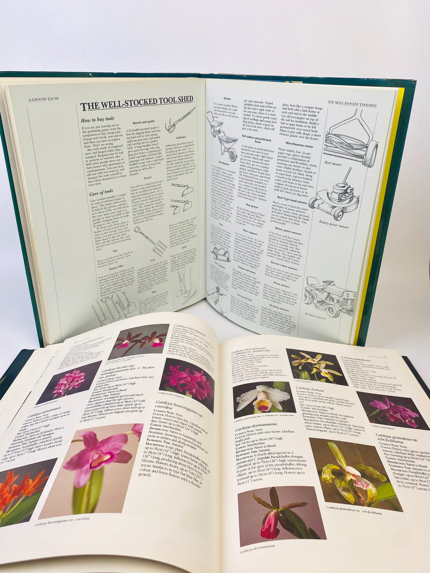 90年代 英文植物書籍 A Greener Thumb&世界蘭花