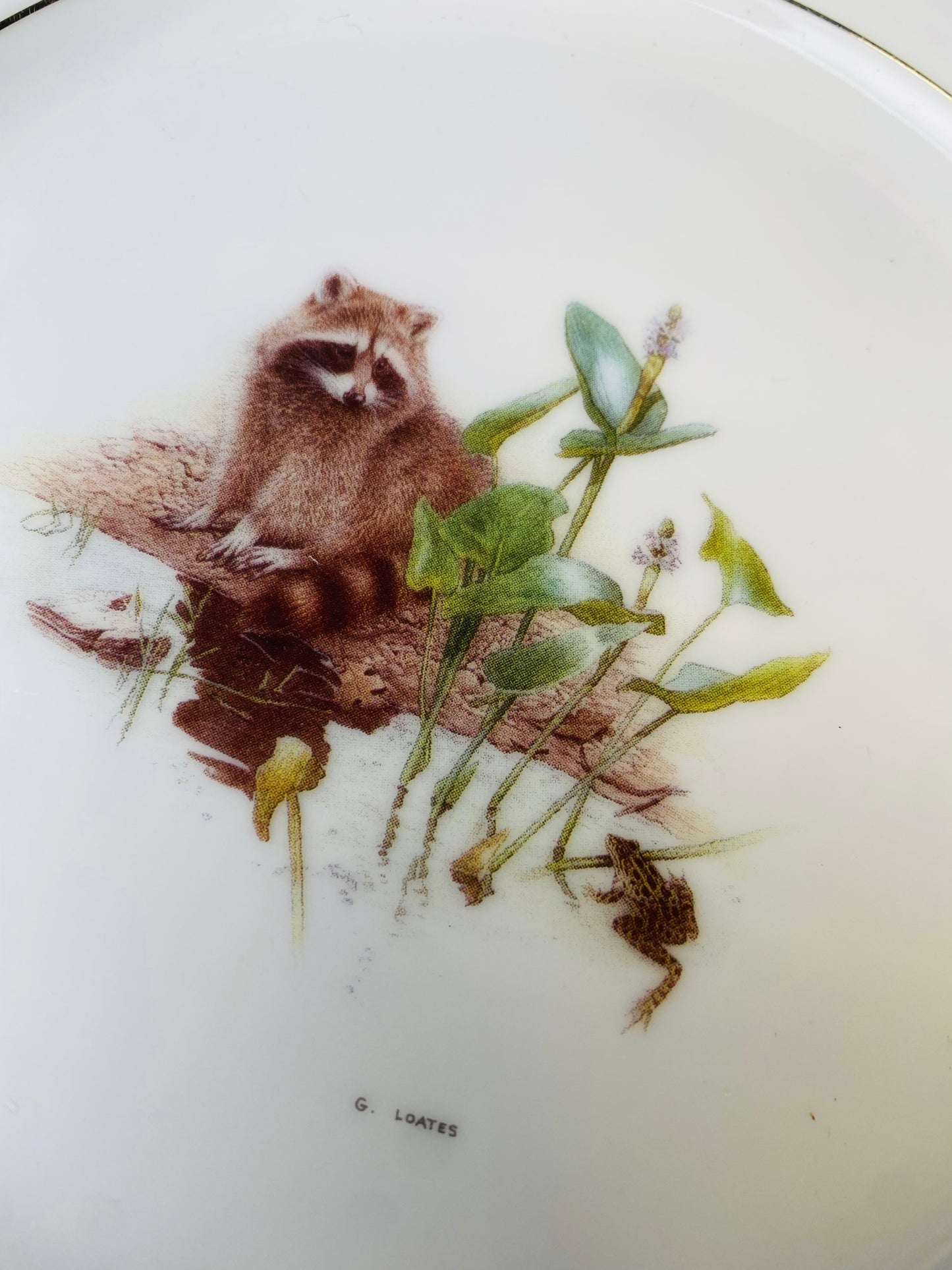 加拿大製可愛動物杯盤組 Glen Loates Collections