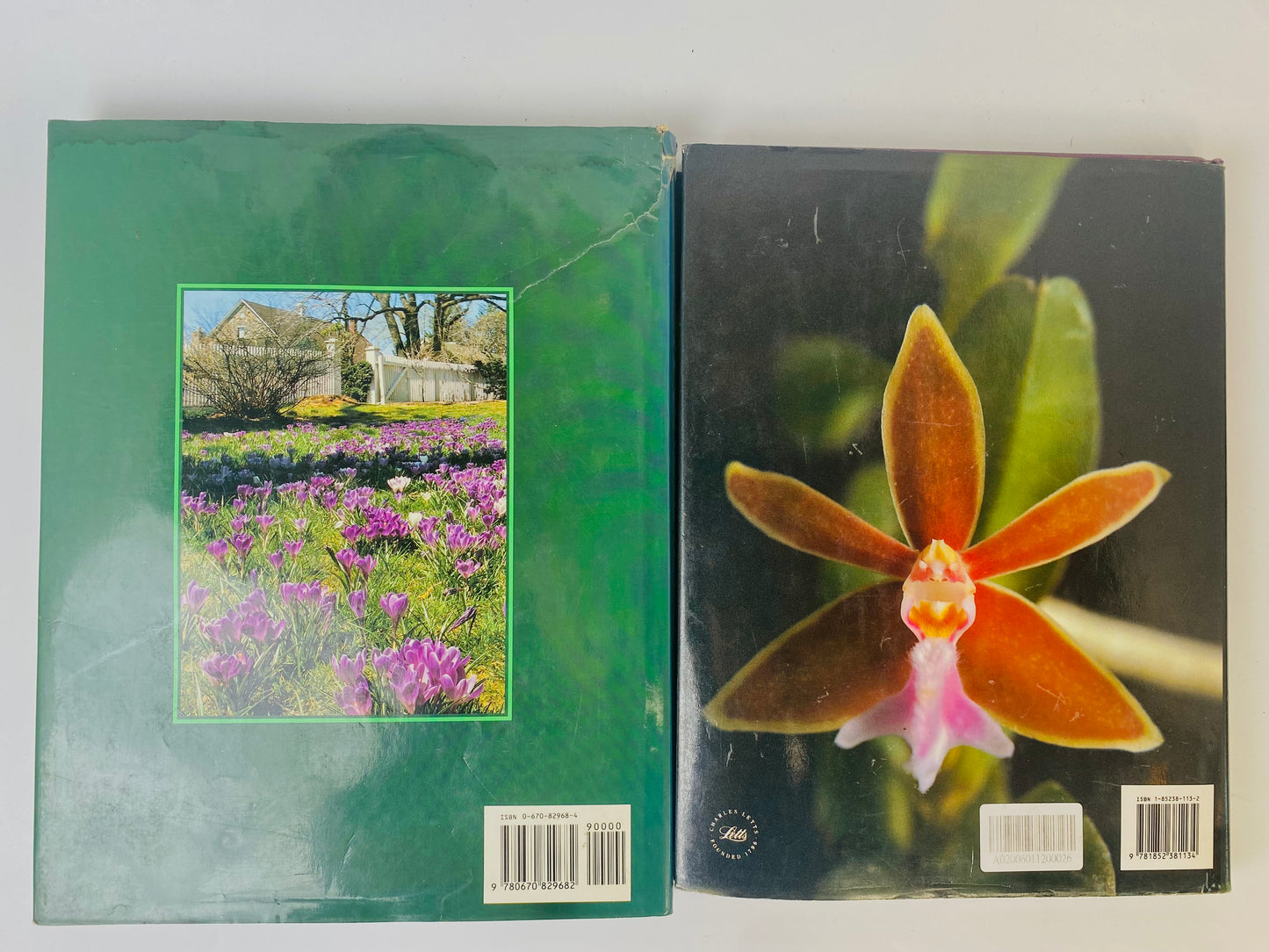 90年代 英文植物書籍 A Greener Thumb&世界蘭花